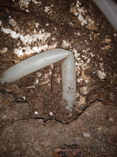 拉孜堵点精准查找